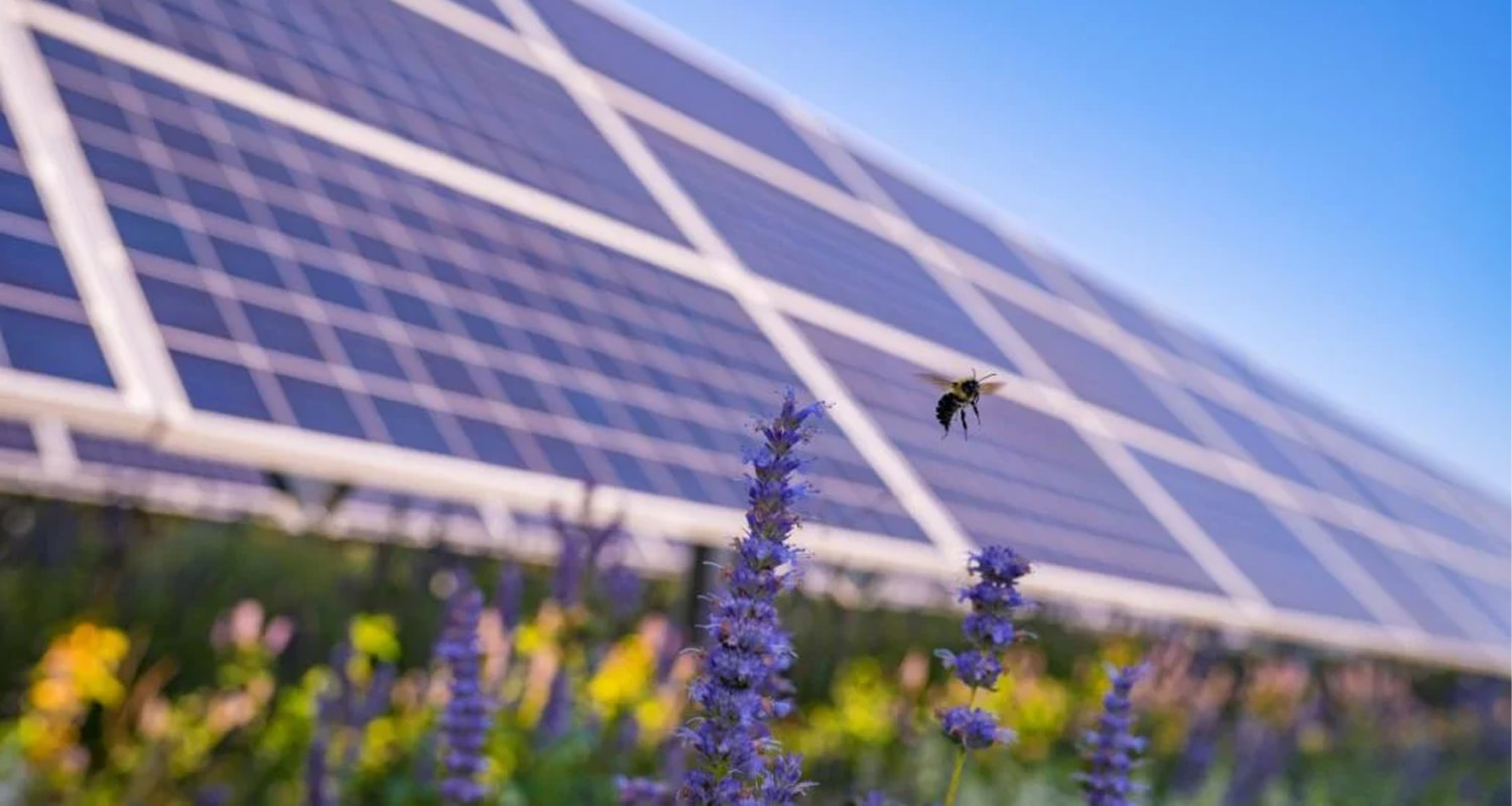 L'entreprise italienne Whysol obtient un financement pour un portefeuille de projets photovoltaïques agricoles et de stockage d'énergie de 328 MW.