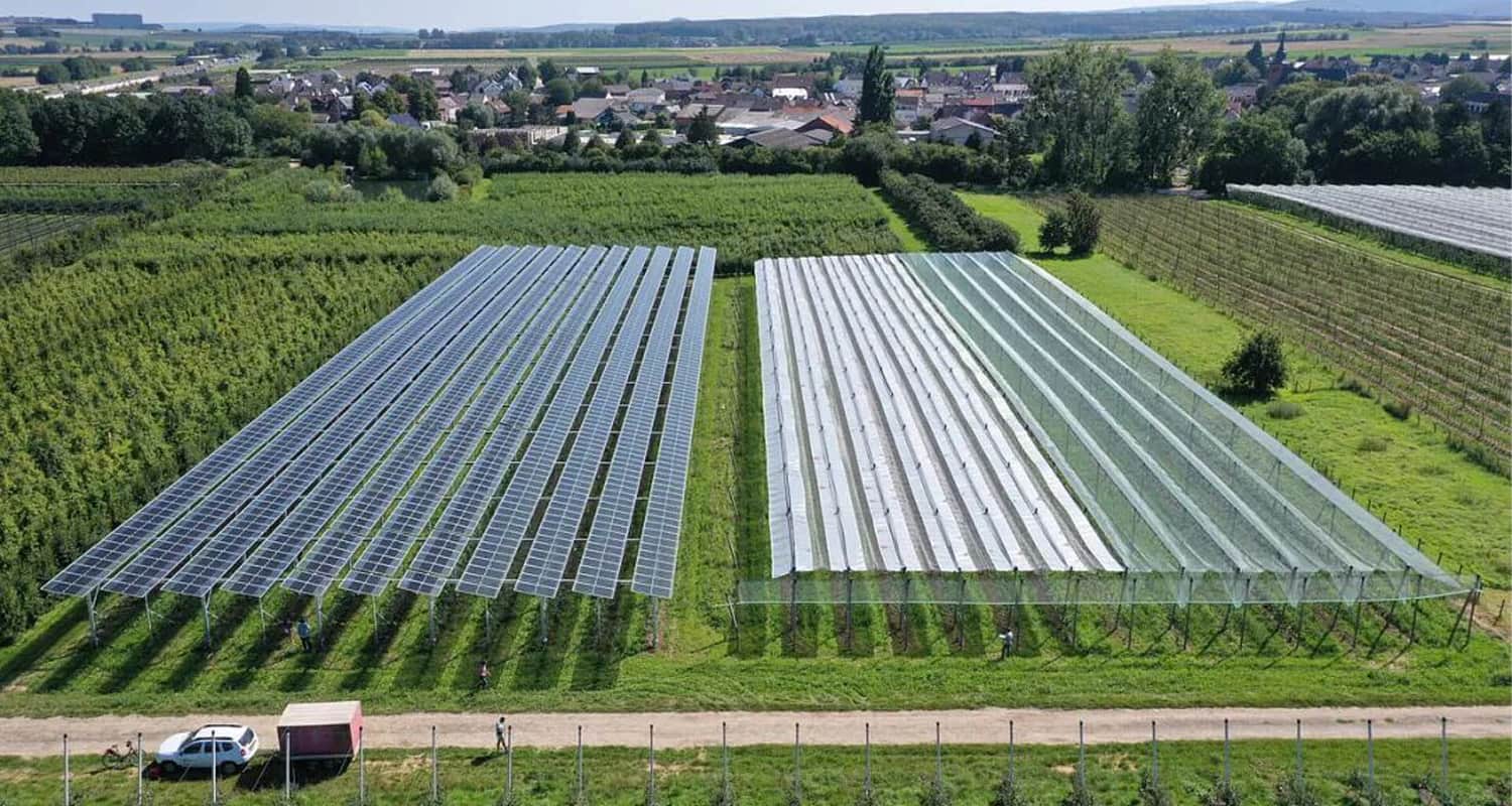 Le « chou sans formaldéhyde » fait le buzz sur les réseaux sociaux, mais ne vous inquiétez pas ! L'énergie solaire fait baisser les coûts de la chaîne du froid !